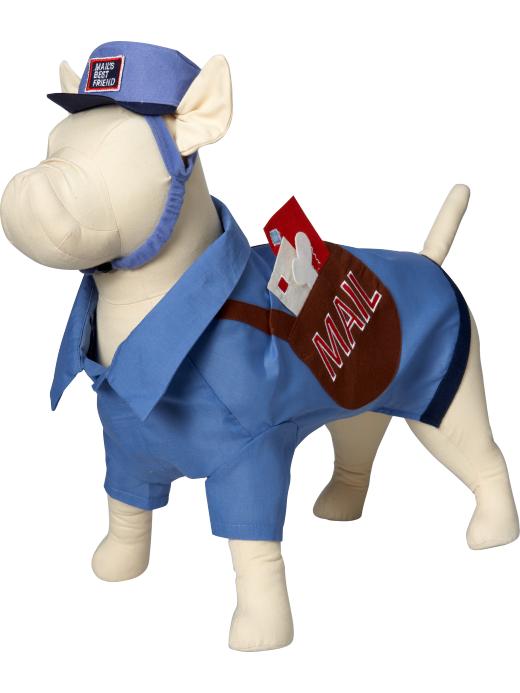  Halloween Costumes For Dogs
