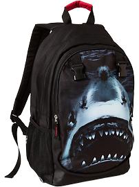 Boys Canvas Backpacks