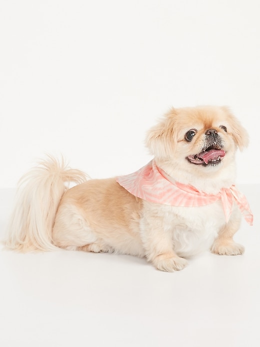 View large product image 1 of 2. Patterned Poplin Bandana for Dogs