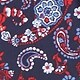Red & Blue Paisley