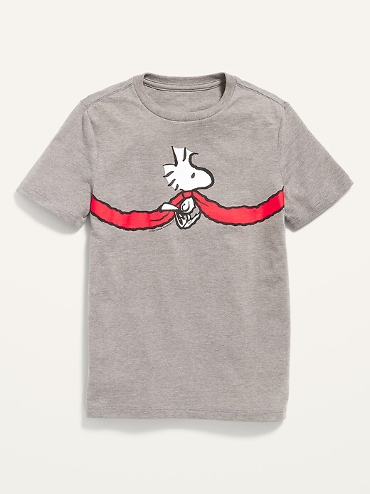 View large product image 1 of 1. Peanuts® Matching Graphic Tee for Boys