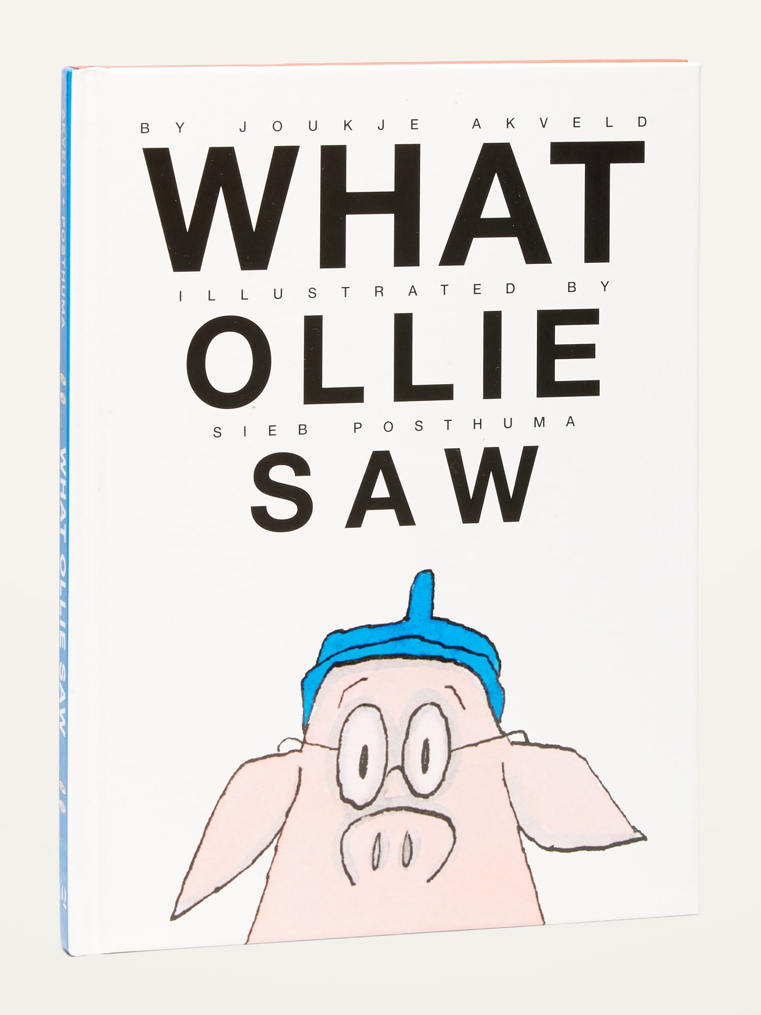 "What Ollie Saw" Picture Book for Kids