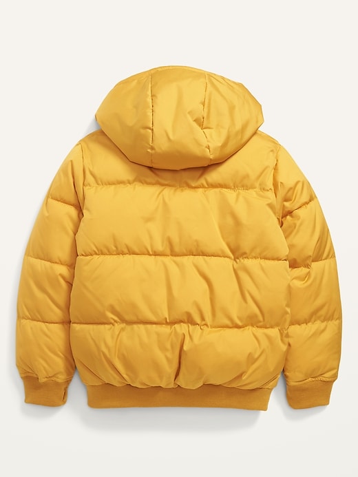 View large product image 2 of 2. Frost-Free Water-Resistant Gender-Neutral Zip Puffer Jacket for Kids