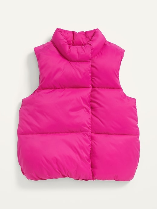 View large product image 1 of 2. Frost-Free Vest for Toddler Girls