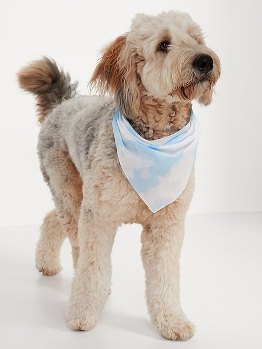 View large product image 1 of 2. Printed Bandana 2-Pack for Pets