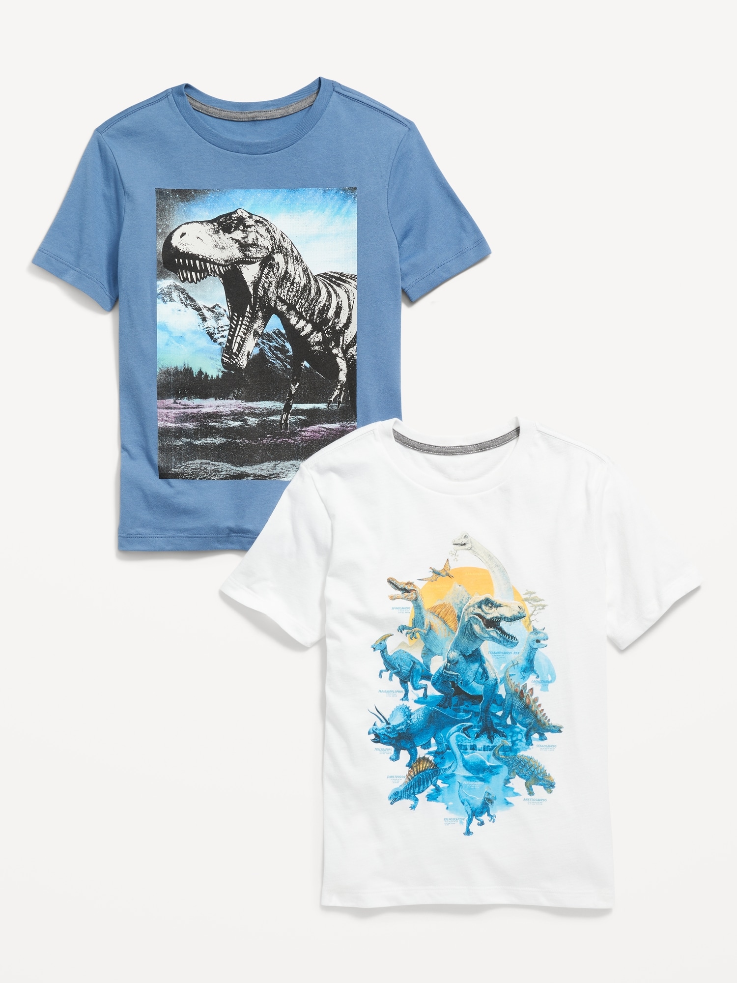 Graphic T-Shirt Variety 2-Pack for Boys | Old Navy