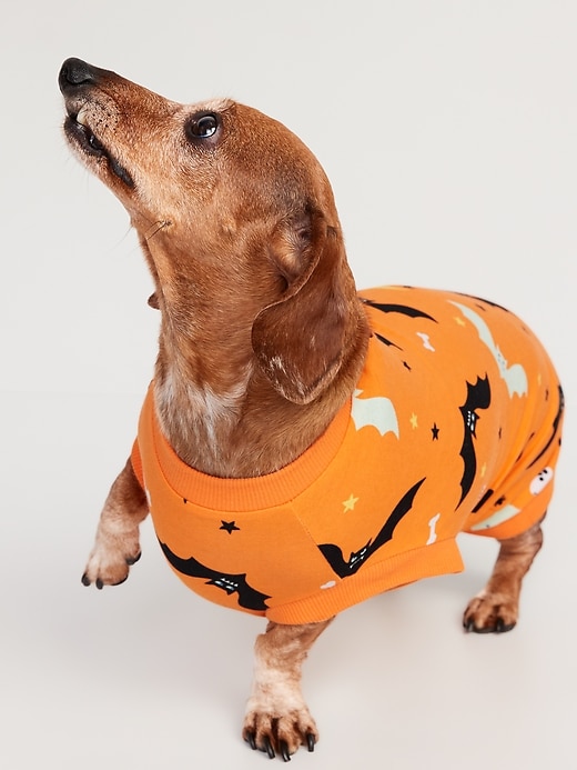 Halloween-Print Jersey-Knit T-Shirt for Pets
