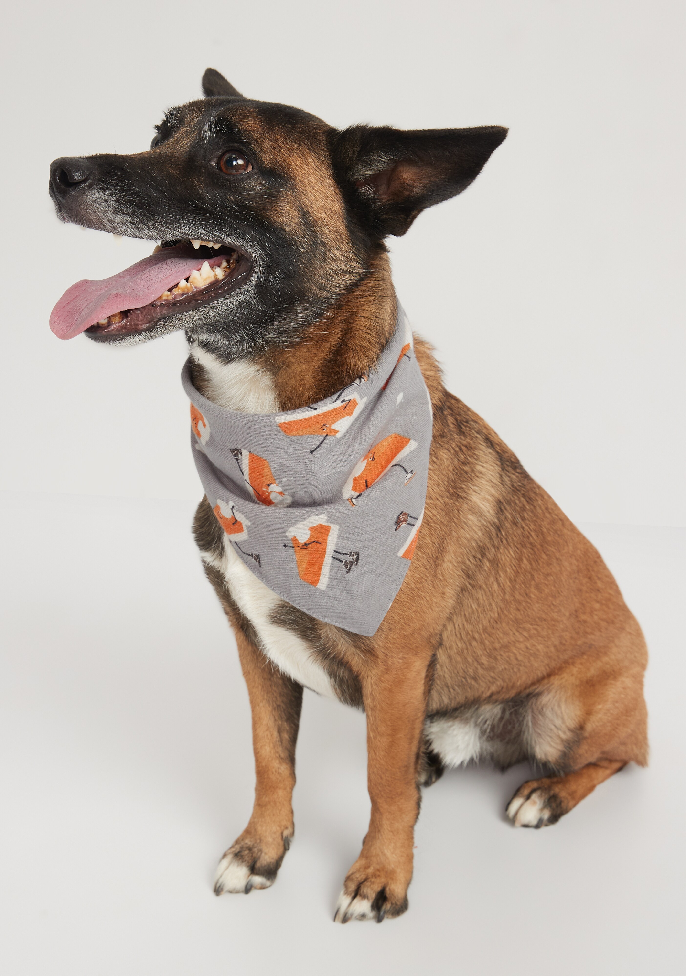 dog bandana old navy
