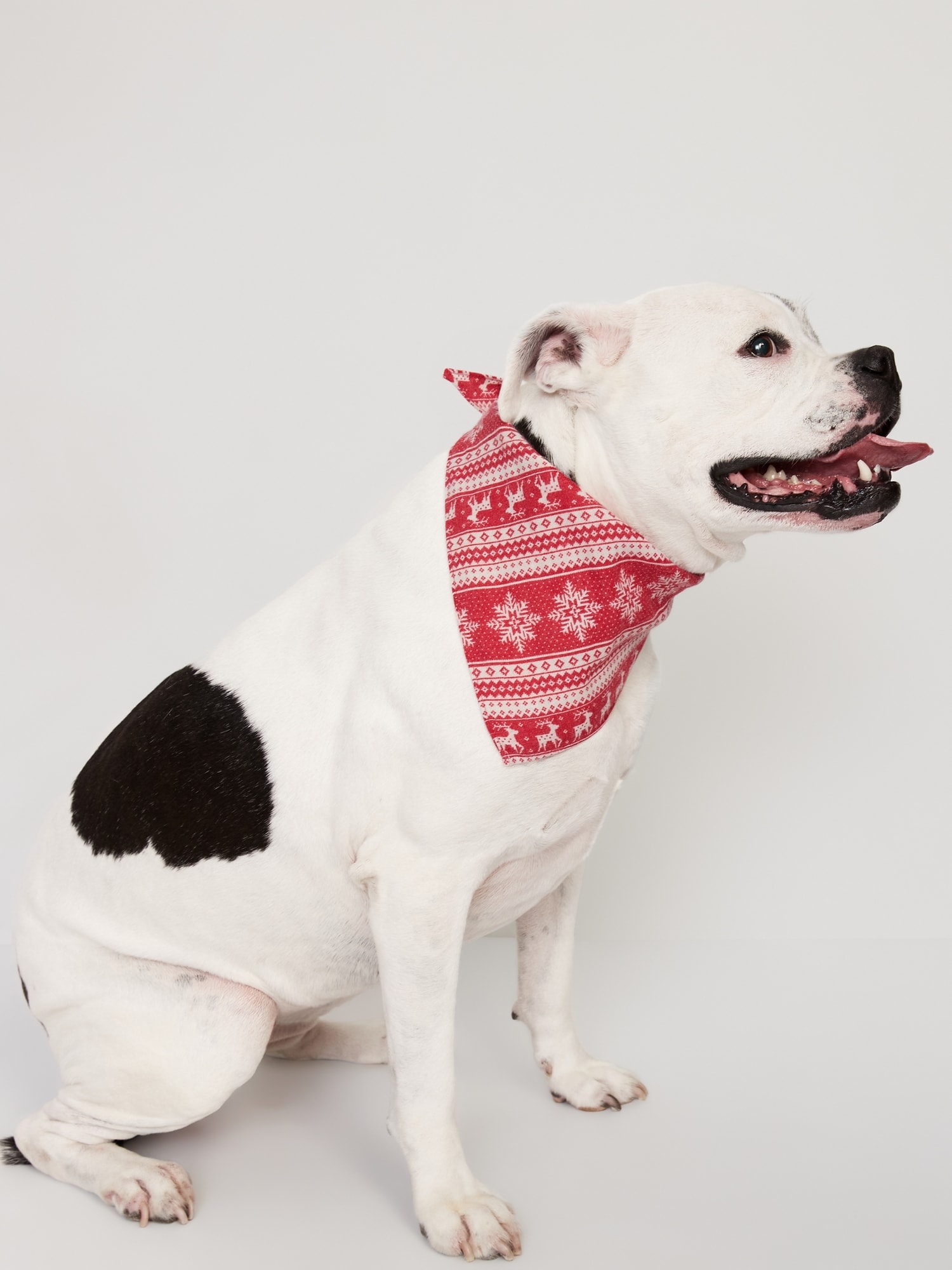 NanaMacs Original Printed Hair Or Dog Bandana (Blue Square) in 2023