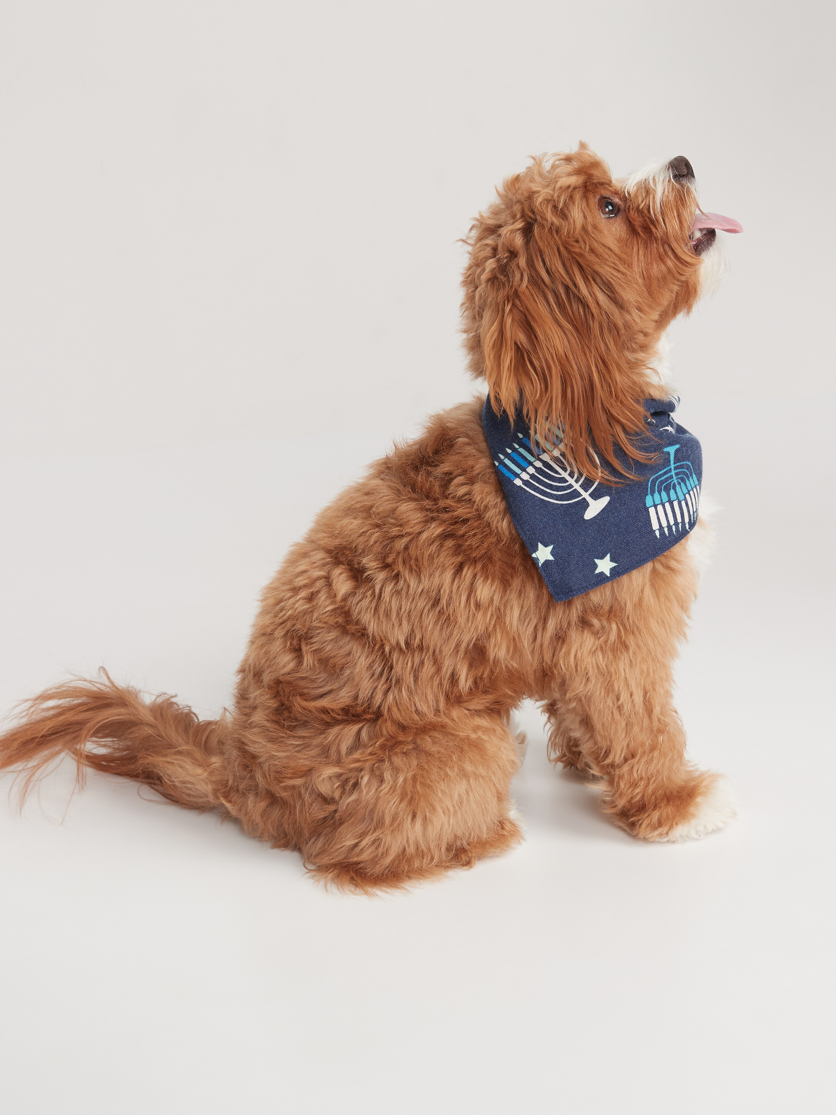 dog bandana old navy