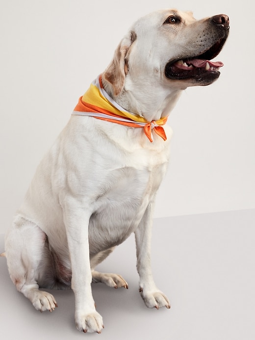 Image number 1 showing, Halloween-Print Bandana for Pets