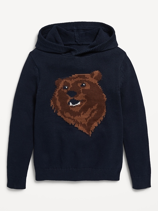 View large product image 2 of 3. Printed Sweater-Knit Pullover Hoodie for Boys