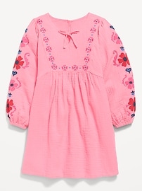 Image number 1 showing, Long-Sleeve Double-Weave Embroidered Swing Dress for Girls