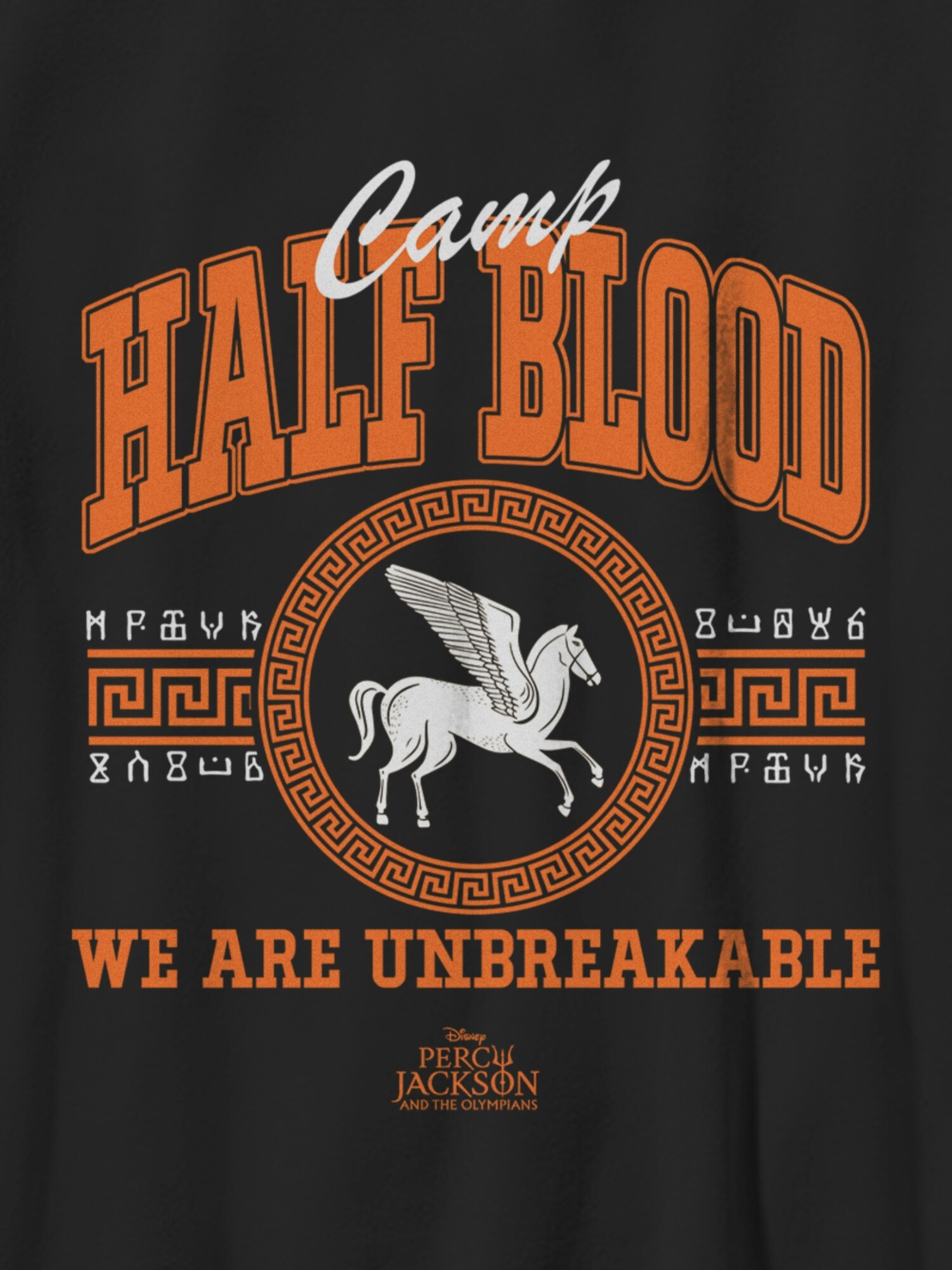Детская футболка Old Navy Percy Jackson Collegiate Half Blood Gender-Neutral Graphic, цвет: Чёрный — фото 2