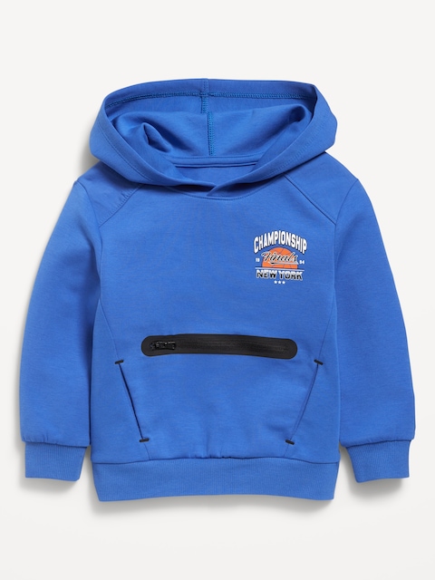 Dynamic Fleece Zippered Hoodie for Toddler Boys - Hydro Blue