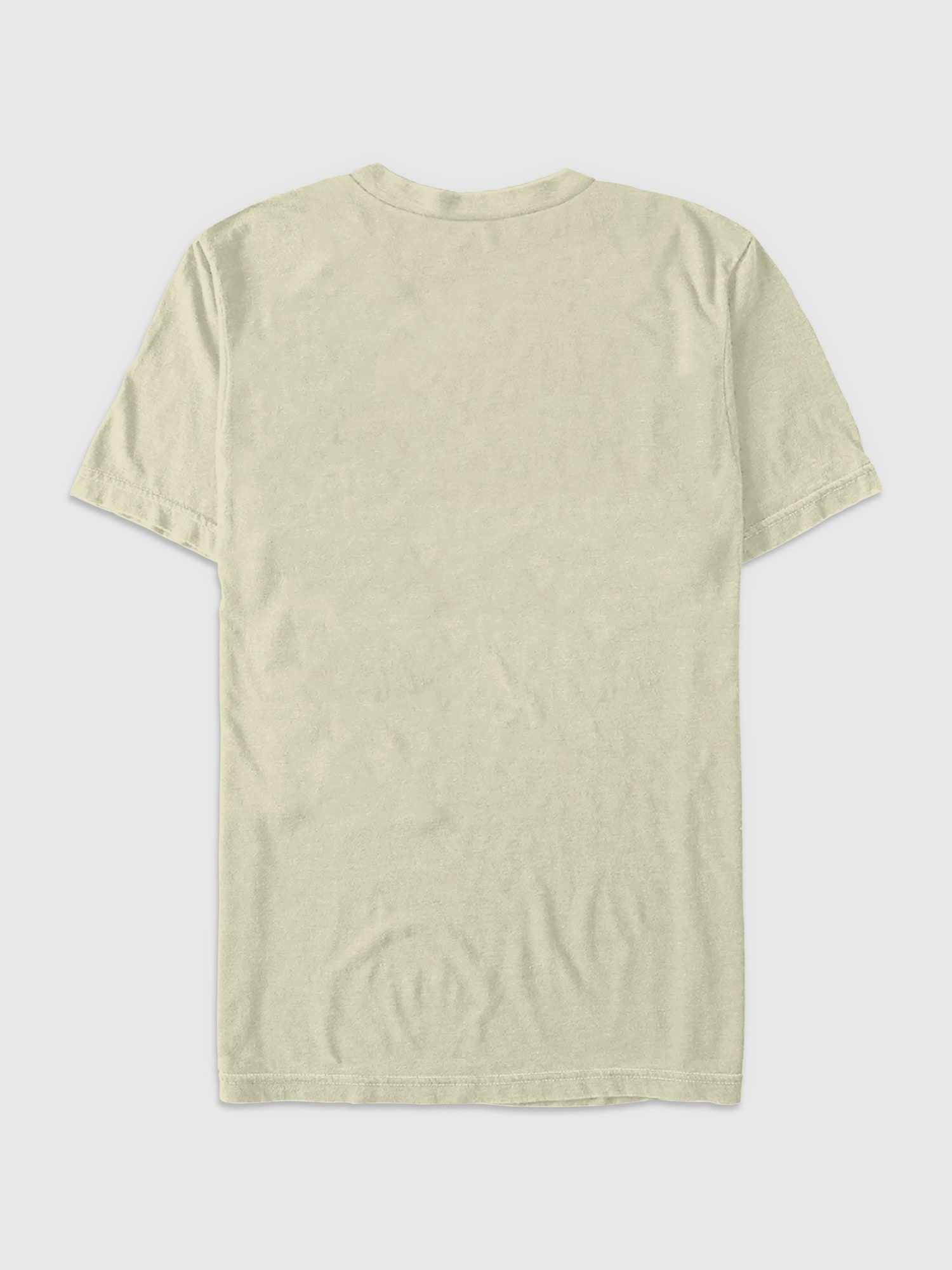 Jurassic Park Graphic T-Shirt