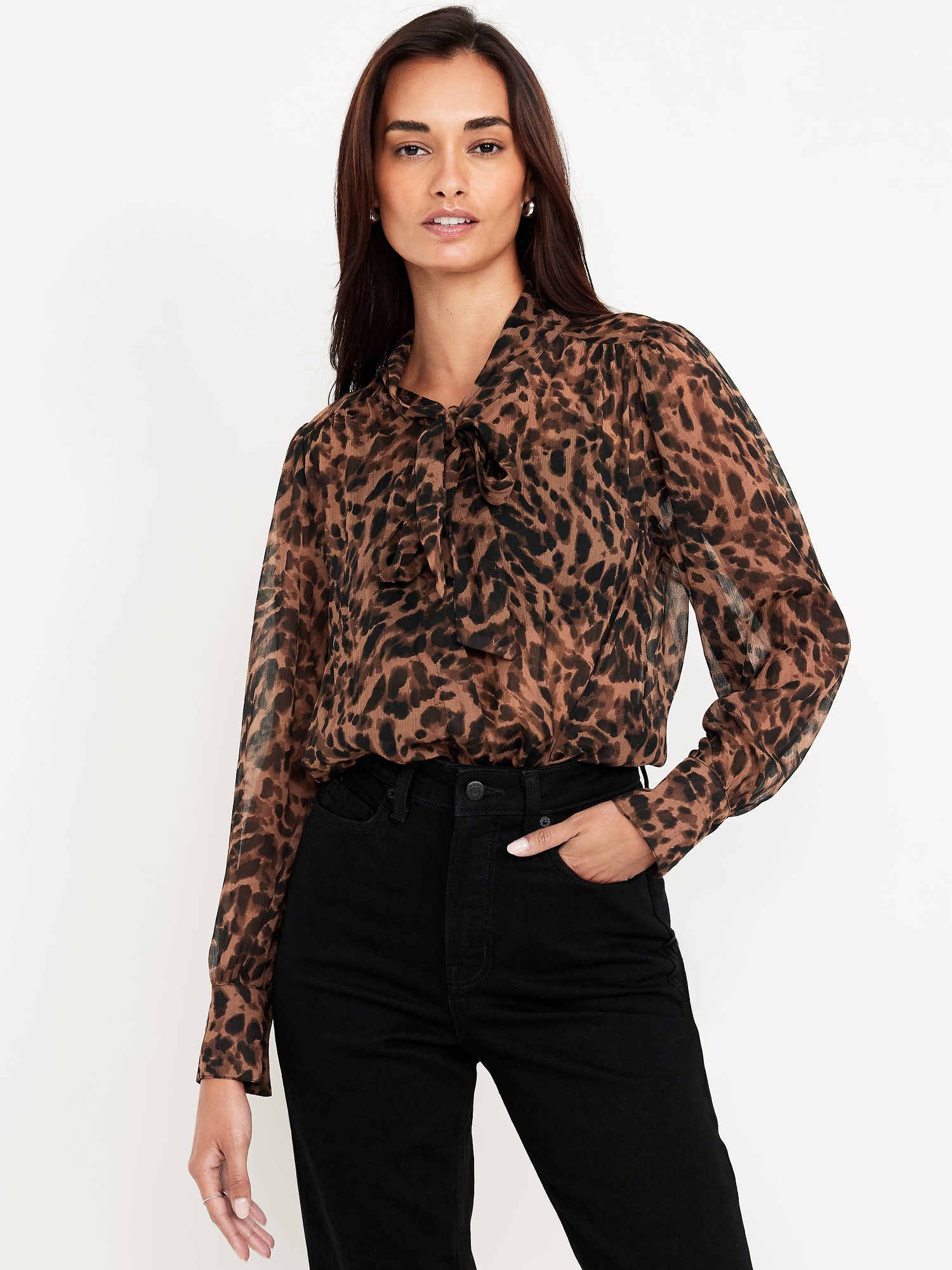Long-Sleeve Tie-Neck Chiffon Top