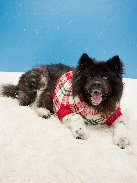 Cozy Printed Sweater for Pets