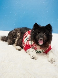 Image number 1 showing, Cozy Printed Sweater for Pets