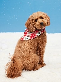 Image number 1 showing, Printed Bandana for Pets