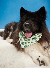 Image number 1 showing, Printed Bandana for Pets