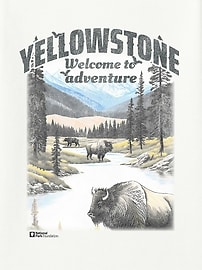 Image number 2 showing, Yellowstone National Park Classic Graphic T-Shirt for Men