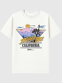 Image number 1 showing, Joshua Tree National Park Retro Graphic T-Shirt for Men
