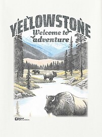 Image number 2 showing, Yellowstone National Park Classic Graphic T-Shirt for Men