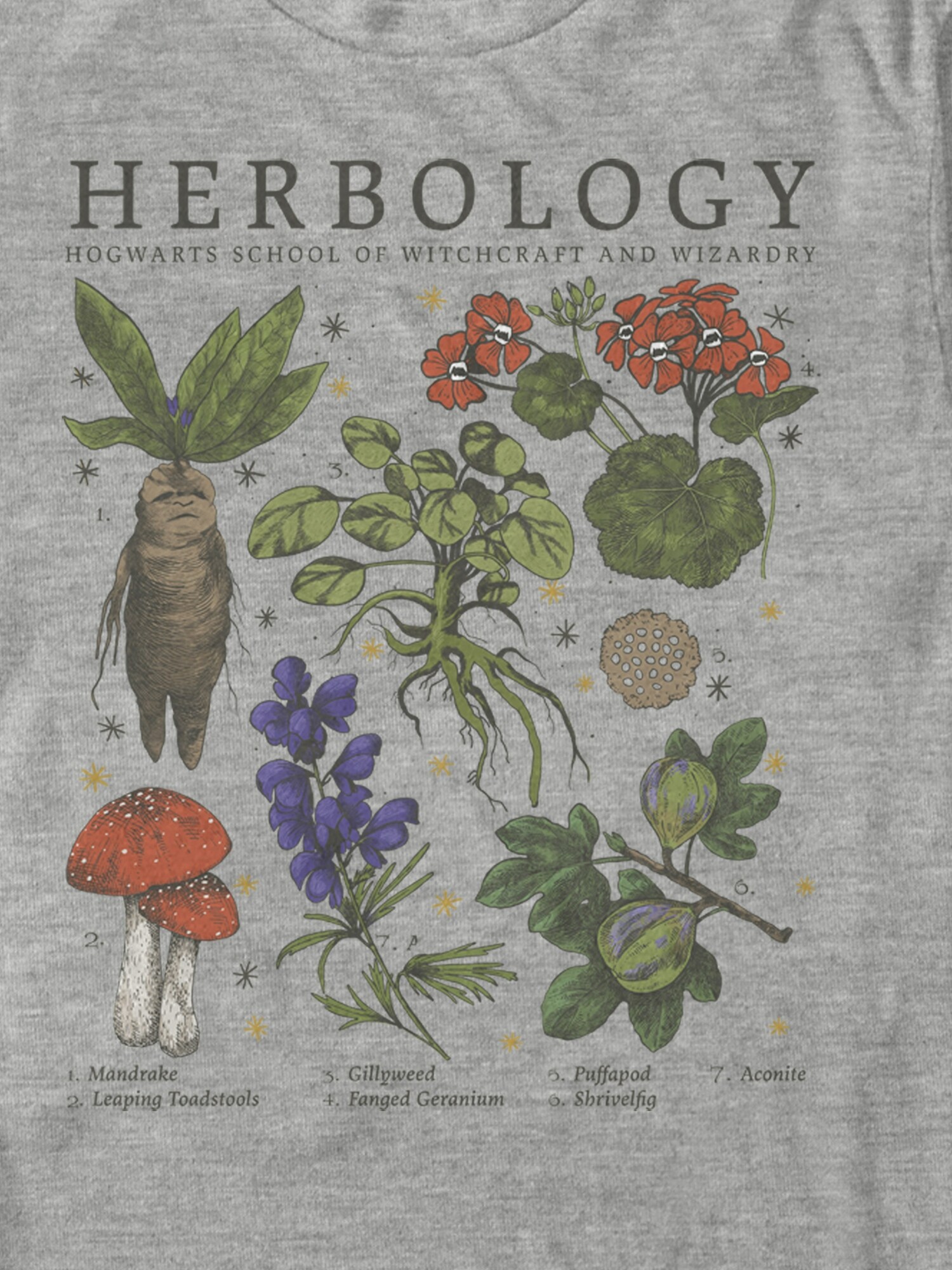 Мужская футболка Old Navy Harry Potter Herbology Graphic, цвет: Меланжевый — фото 2