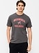 College T-Shirt for Adults - image 2