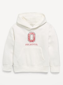 Image number 2 showing, College Graphic Gender-Neutral Hoodie for Kids