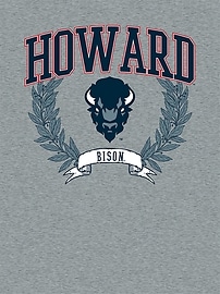 Image number 2 showing, Howard University Graphic T-Shirt for Boys