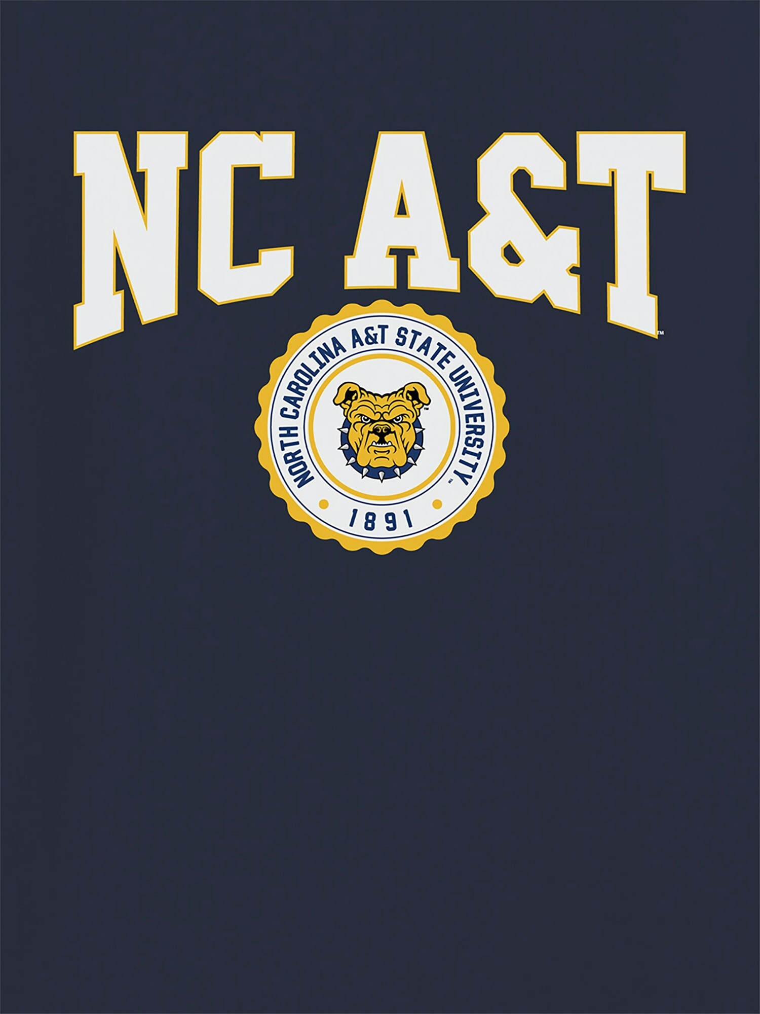 Мужская футболка Old Navy North Carolina AT State University Collegiate Graphic T-Shirt for Men, цвет: Тёмно-синий — фото 2