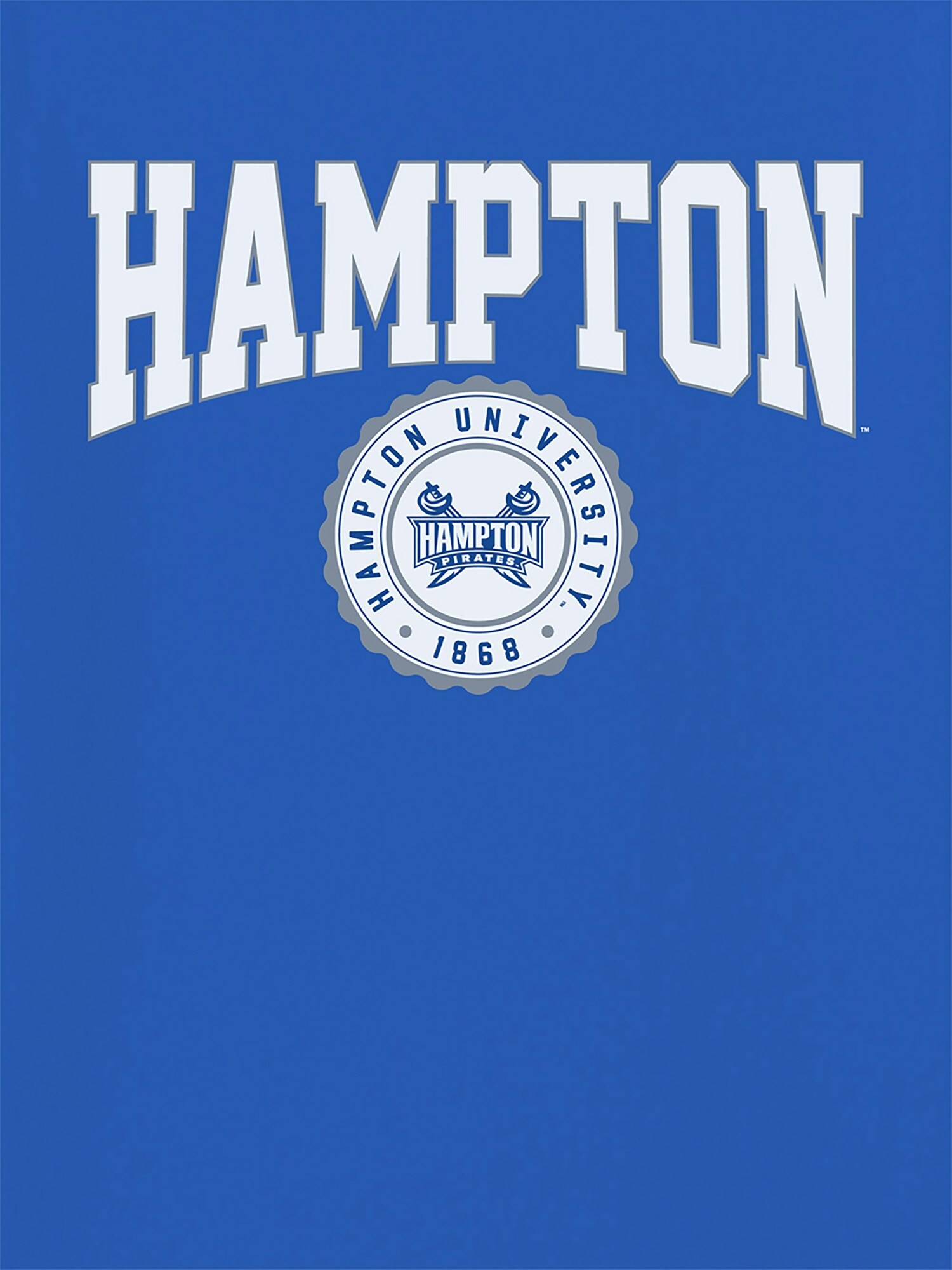 Мужская футболка Old Navy Hampton University Collegiate Graphic T-Shirt for Men, цвет: Королевский синий — фото 2