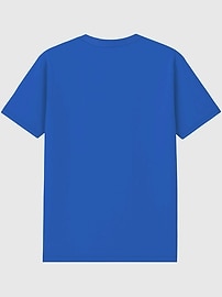 Image number 3 showing, Hampton University Collegiate Graphic T-Shirt for Men