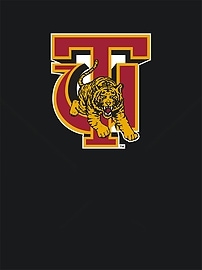 Image number 2 showing, Tuskegee University Primary Logo Graphic T-Shirt for Boys