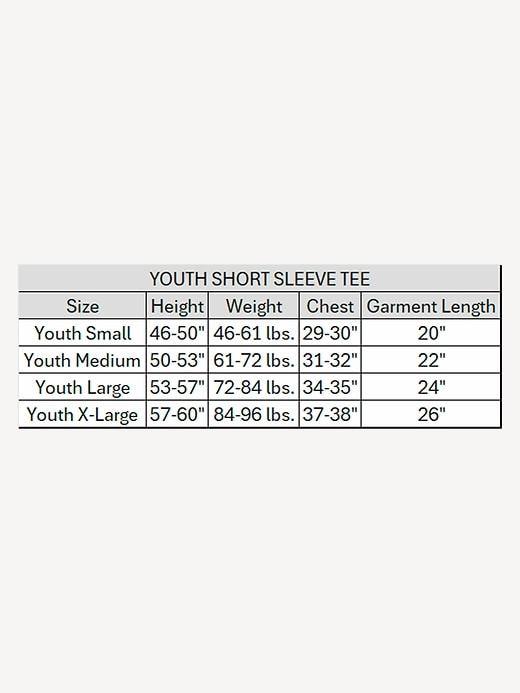 Image number 4 showing, USA Winter Sports Short Sleeve Graphic T-Shirt For Kids