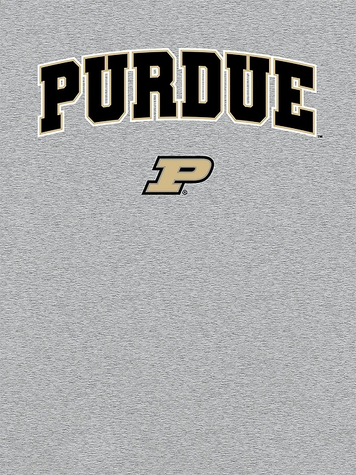 Image number 2 showing, Purdue University Arch Logo Graphic T-Shirt for Women