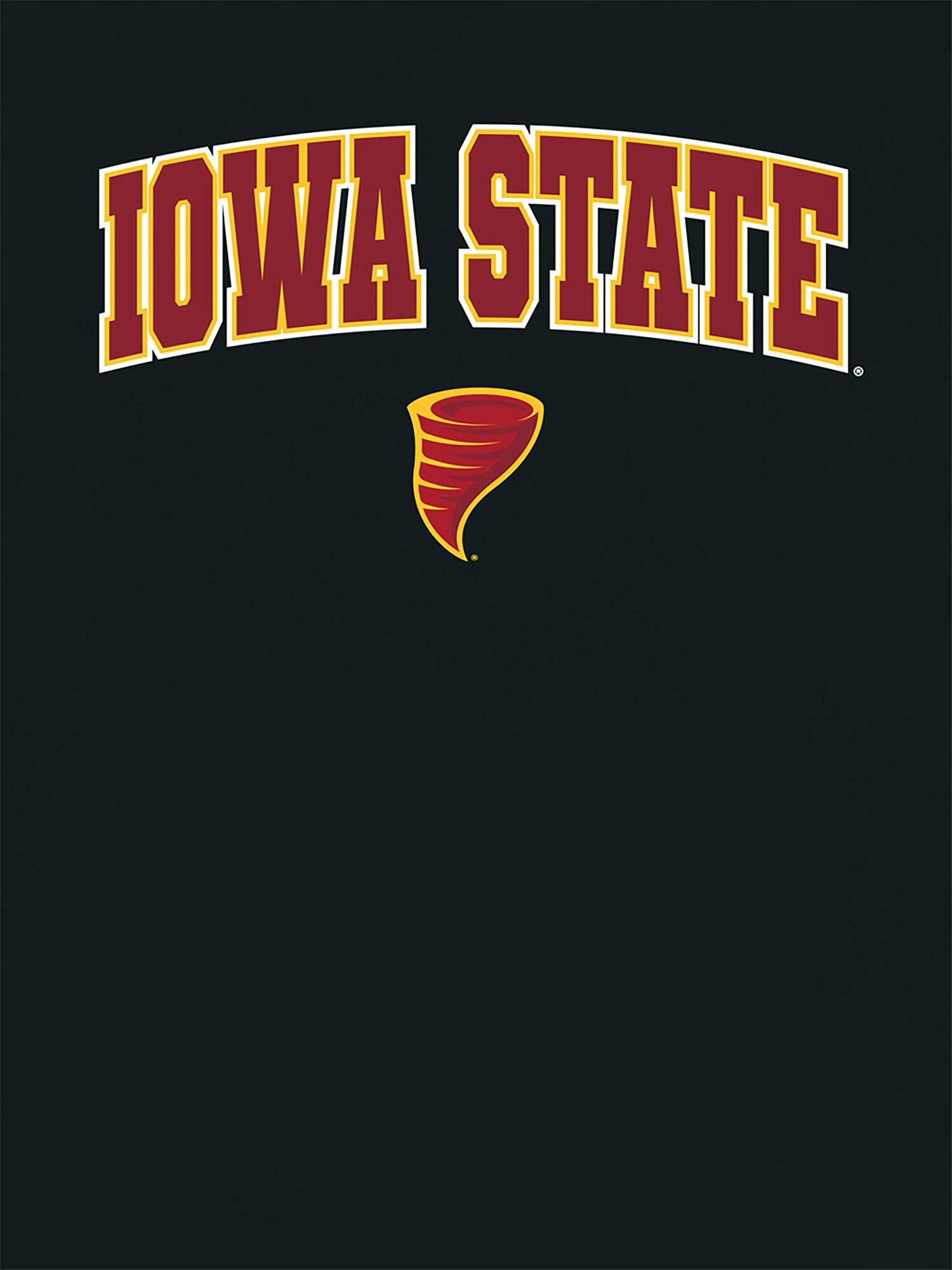 Женская футболка Old Navy Iowa State University Arch Logo Black Graphic T-Shirt for Women, цвет: Чёрный — фото 2