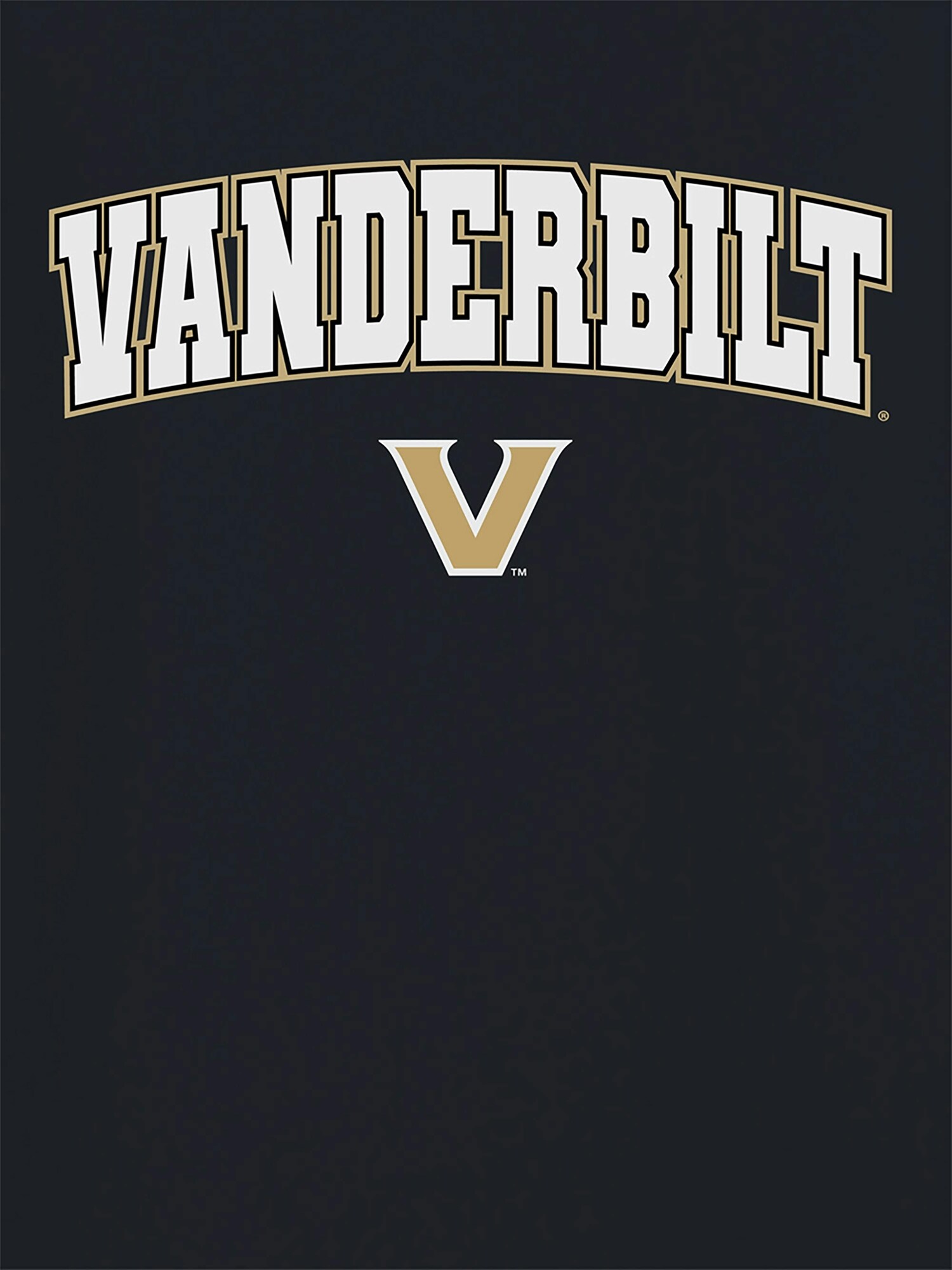 Мужская футболка Old Navy Vanderbilt University Arch Logo Graphic T-Shirt for Men, цвет: Чёрный — фото 2