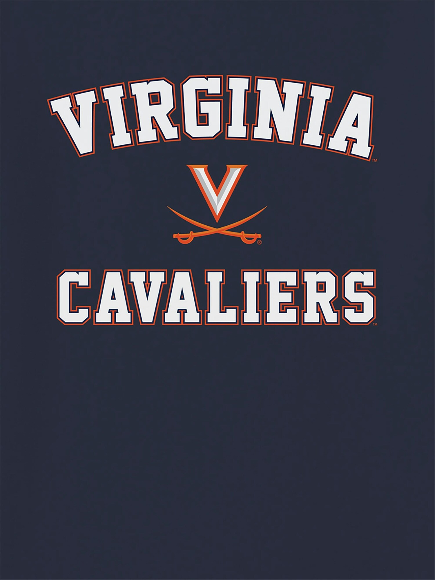 Мужская футболка Old Navy University of Virginia Campus Classic Graphic T-Shirt for Men, цвет: Тёмно-синий — фото 2
