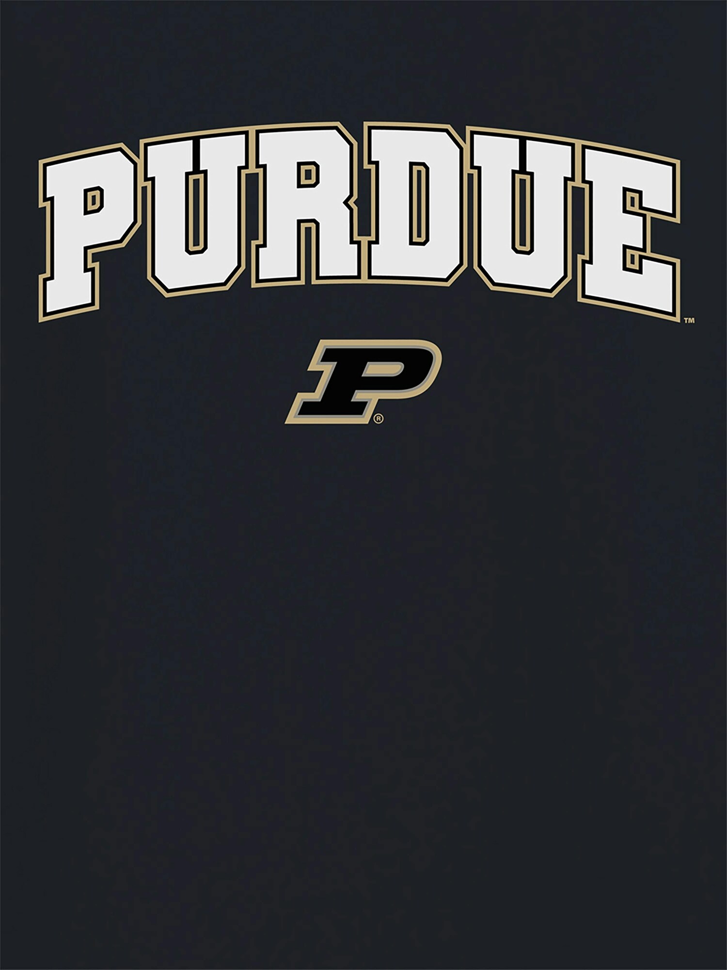 Мужская футболка Old Navy Purdue University Arch Logo Graphic T-Shirt for Men, цвет: Чёрный — фото 2