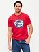 Graphic T-Shirtfor Adults - image 2