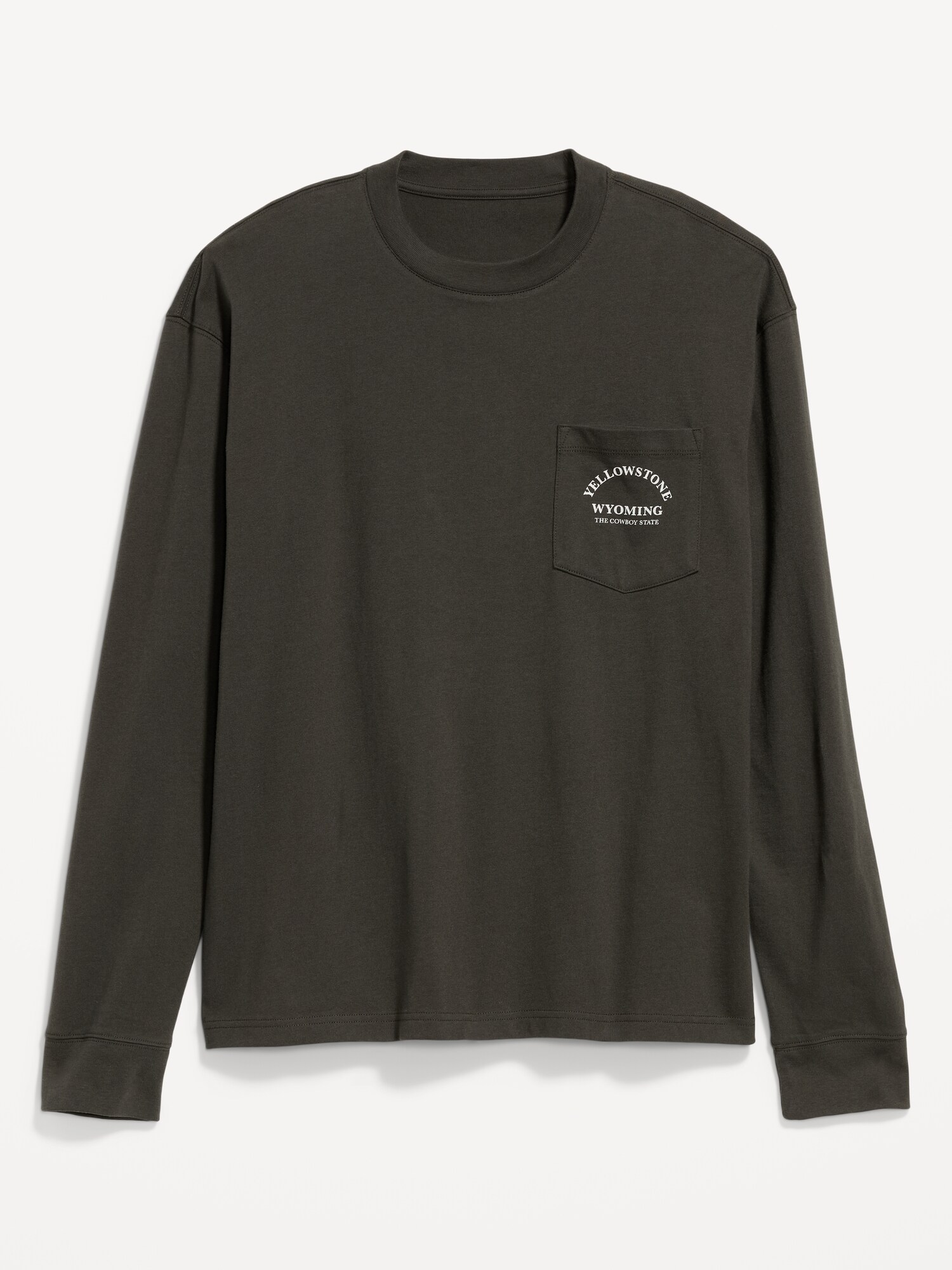 Мужская футболка Old Navy Long-Sleeve Heavyweight Graphic, цвет: Dark Kelp — фото 4