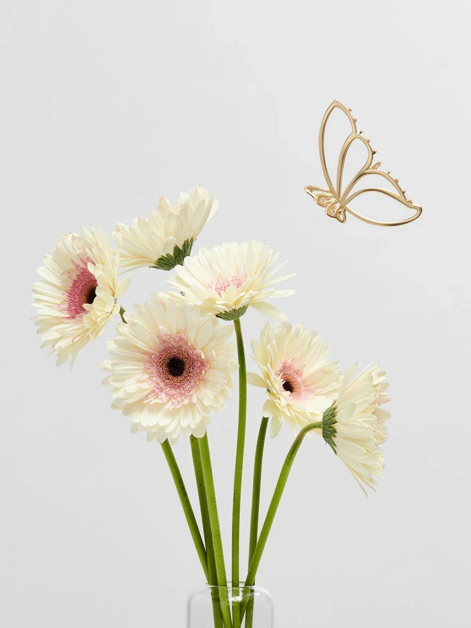 The Hair Edit Gilded Wing Clip
