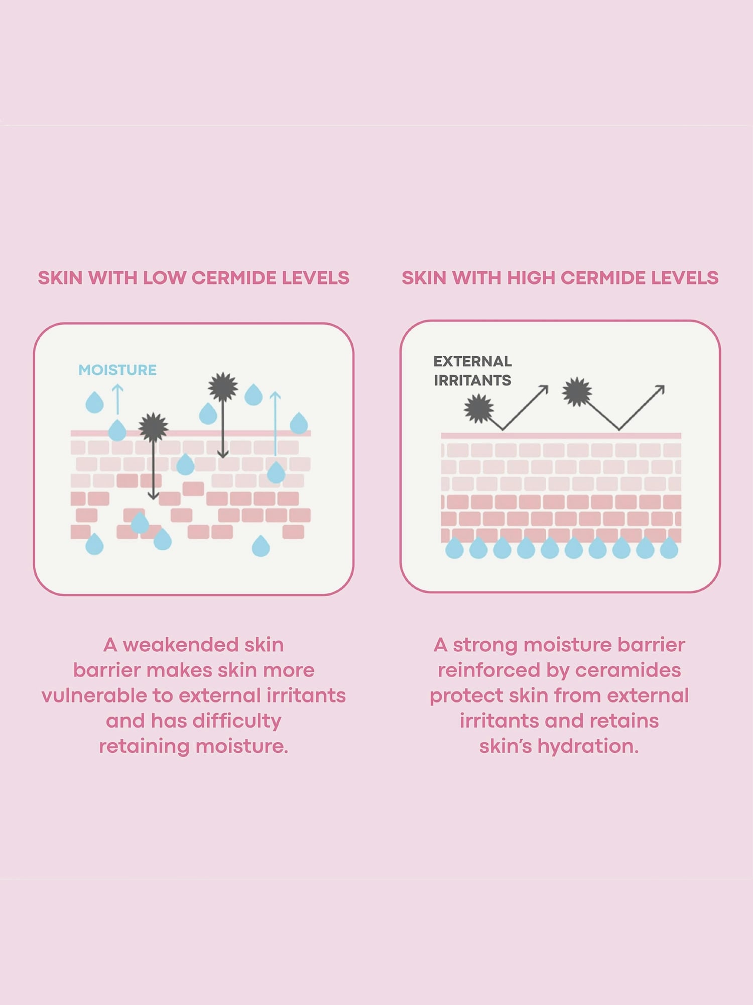 Tony Moly Mochi Milky Toner Set