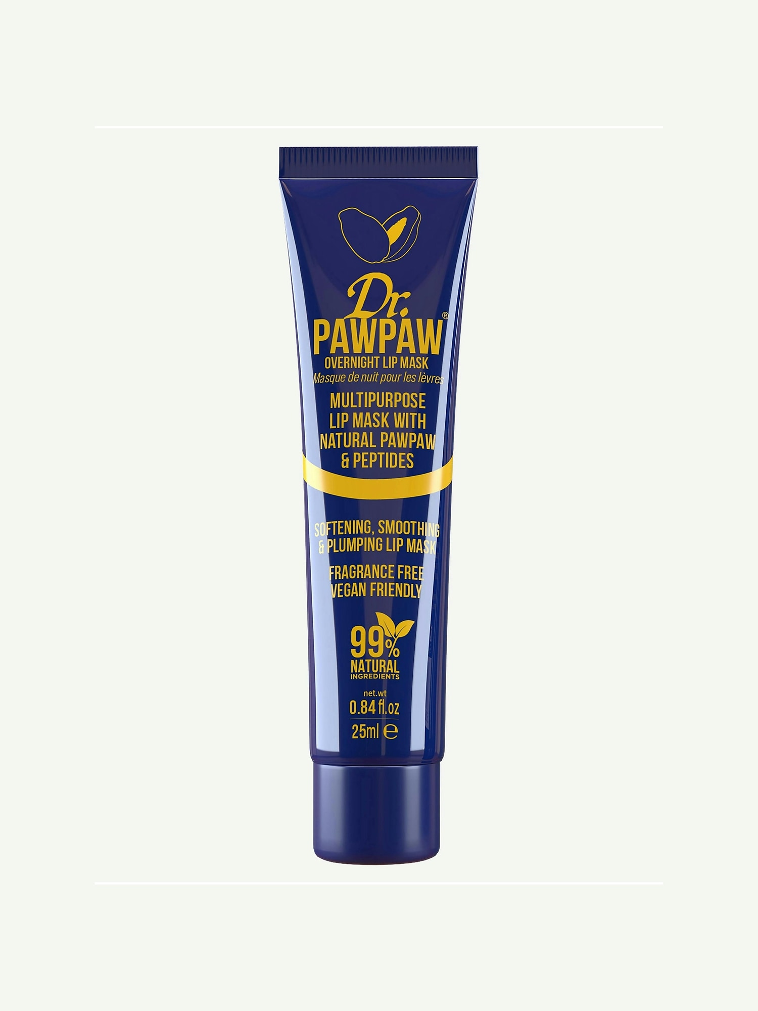 Dr PawPaw Overnight Lip Balm