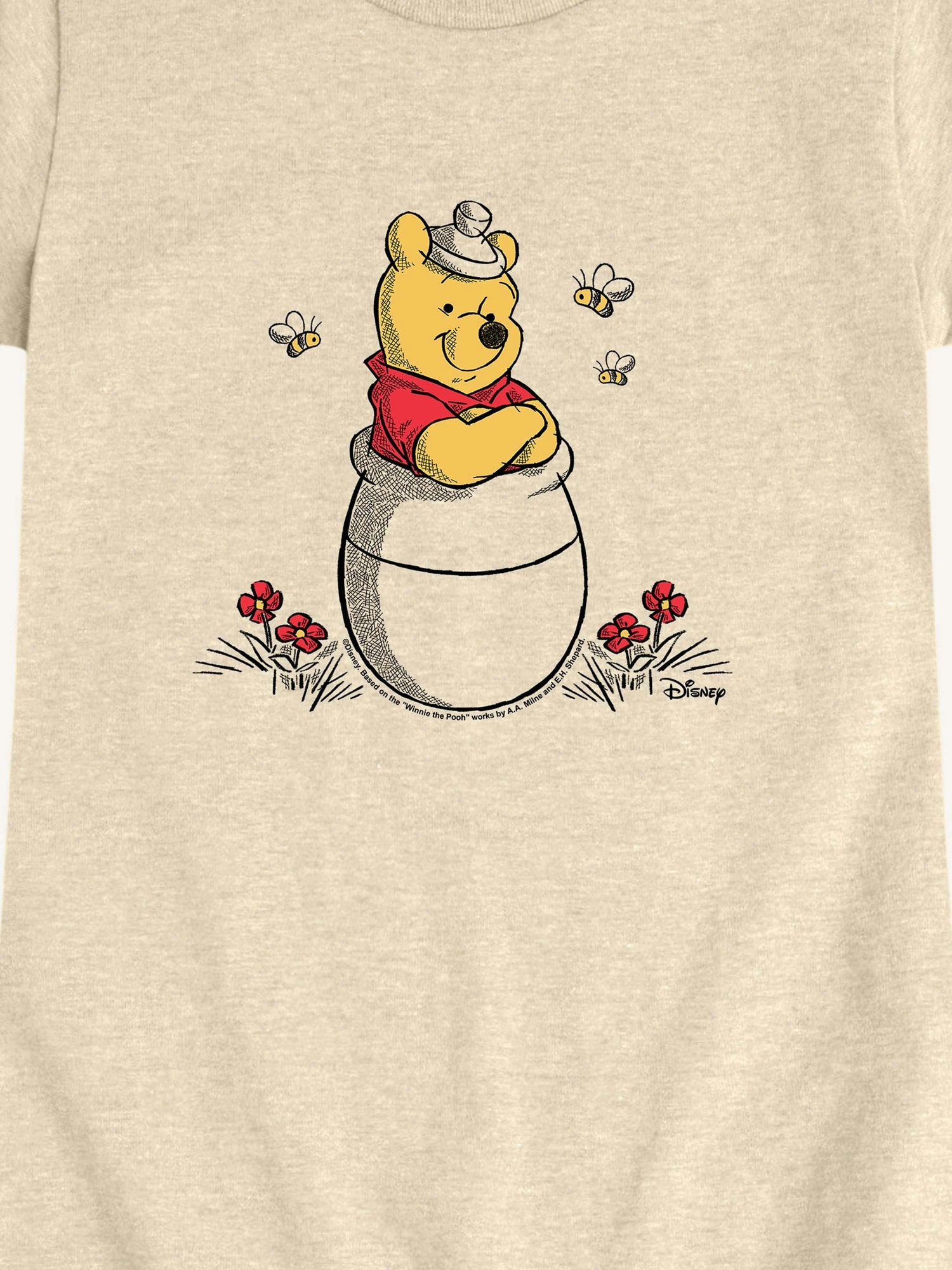 Winnie The Pooh And Bees Short Sleeve Graphic T-Shirt For Toddlers