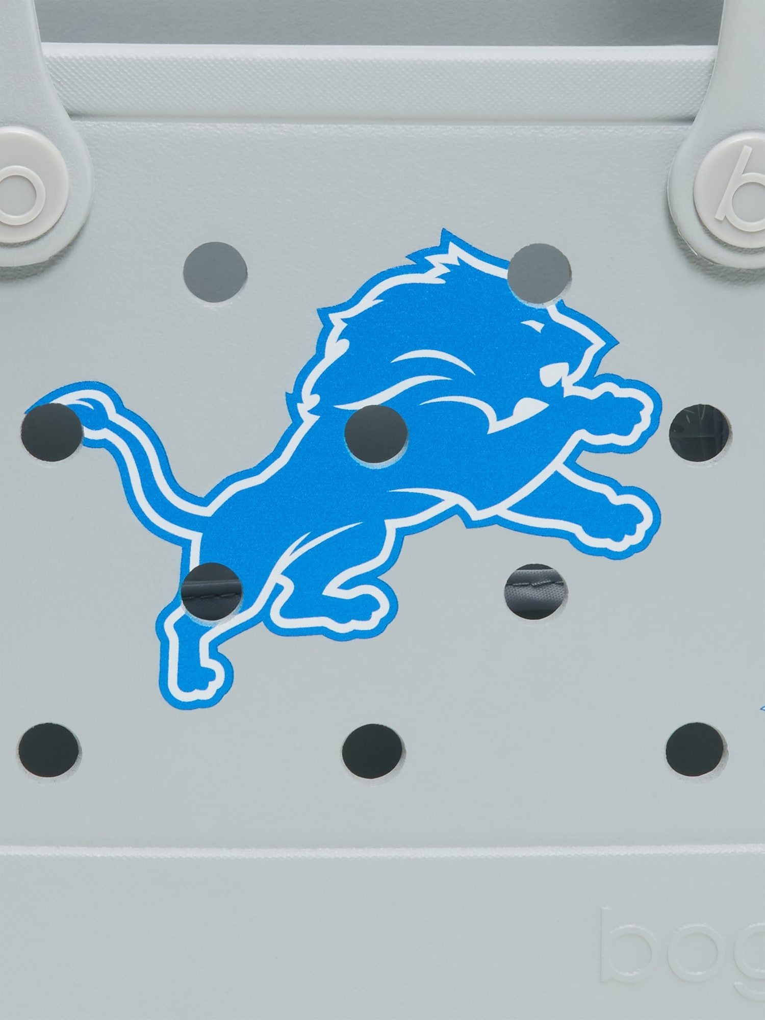 Detroit Lions Bitty Bogg Bag