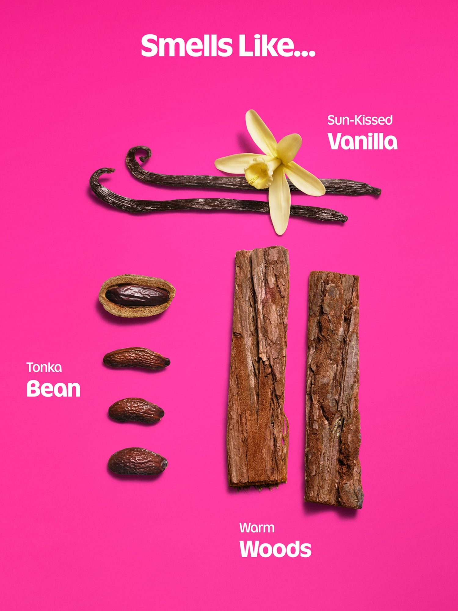 Vanilla Crush Body Lotion -- 3 oz.